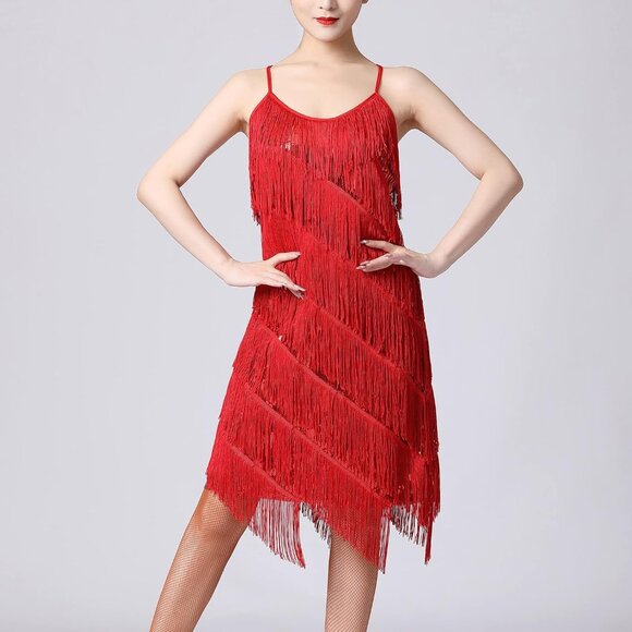 Women Salsa Latin Dance Dress Sequin Tassel Fringe Flapper Dress 1920s Gatsby Co - Picture 4 of 6